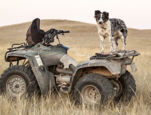 Ultimate Off Road Guide to Prescott Adventures