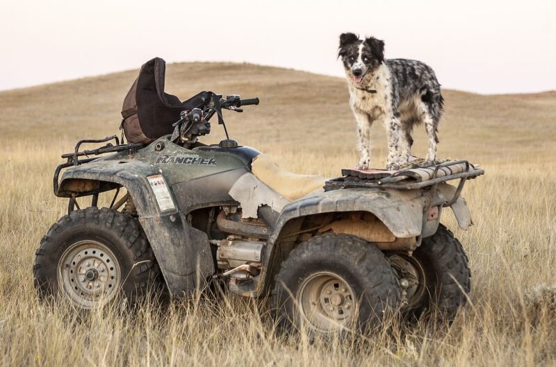 Off Road Guide to Prescott