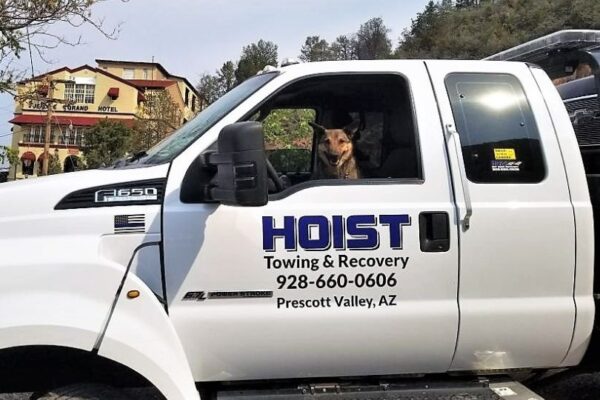 Hoist_Off-road_recovery_and_towing_professionals
