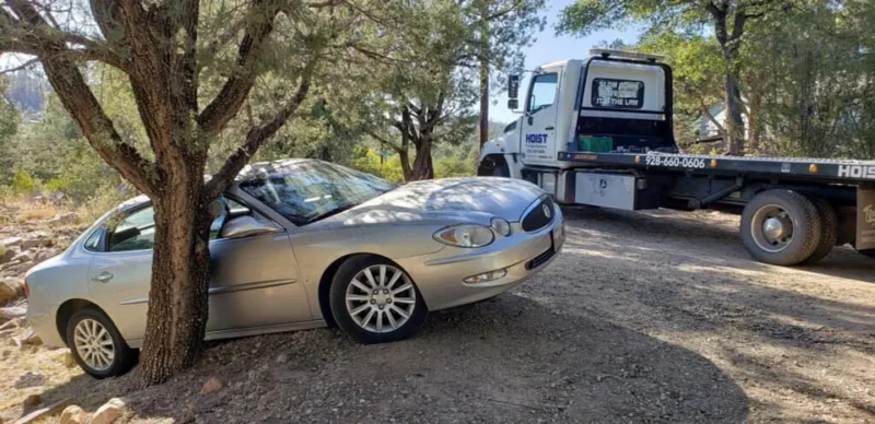 Off Road Recovery Car hits tree